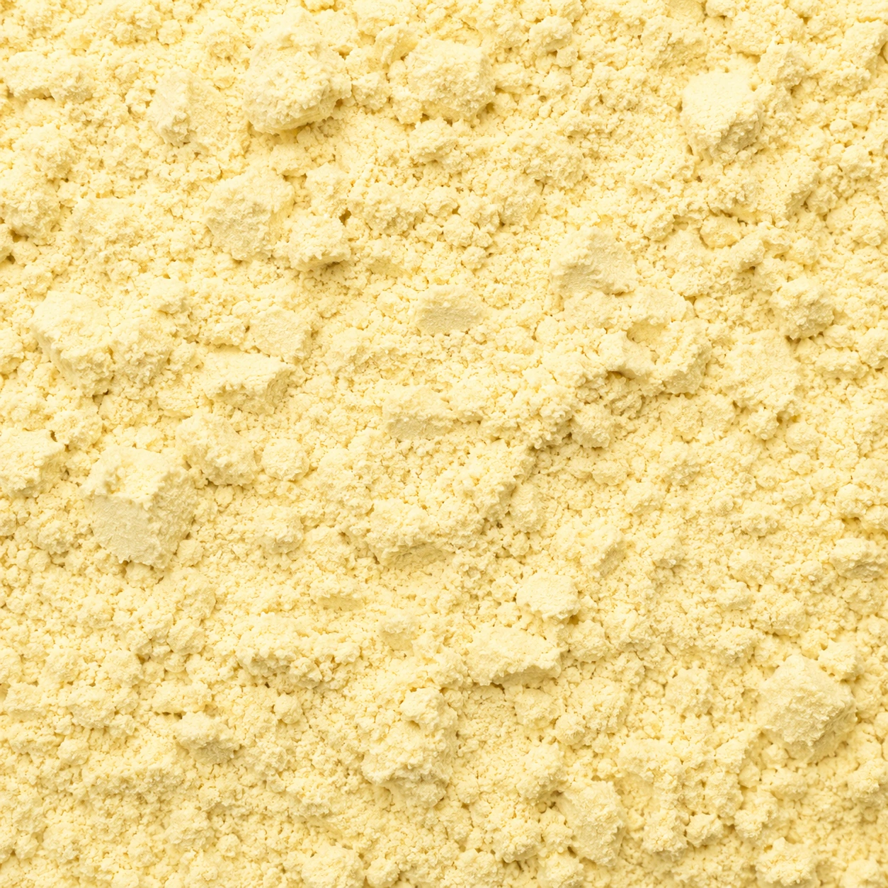 Reference image of Pea Protein Powder / 豌豆蛋白粉参考图片