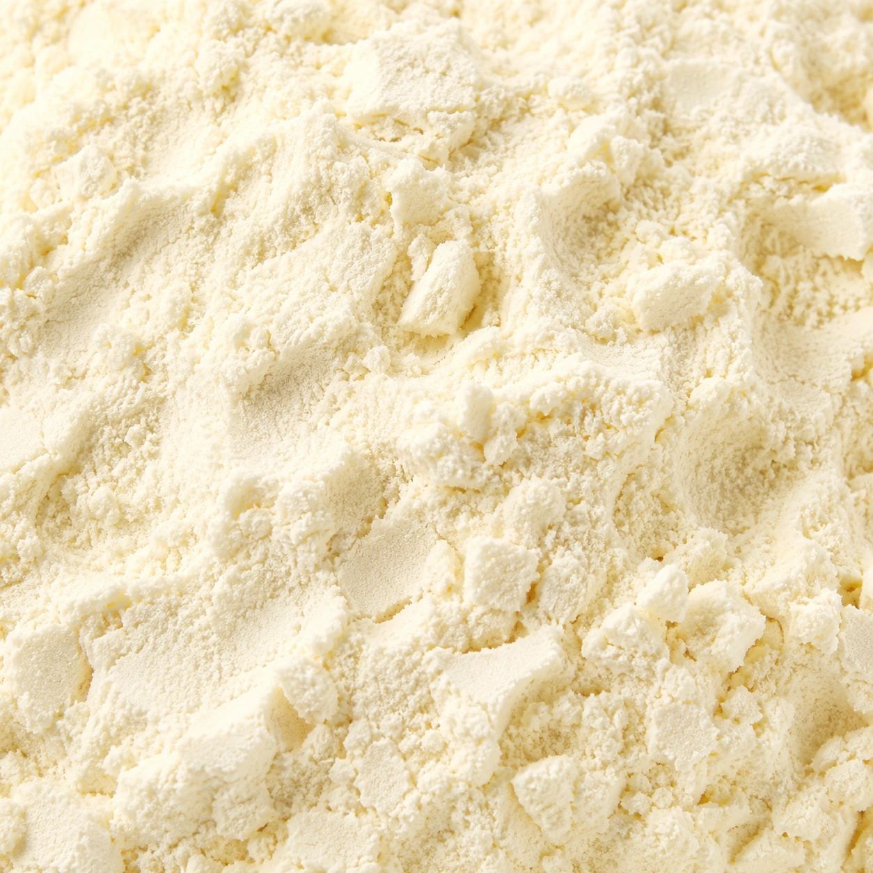 Reference image of Whey Protein Concentrate Powder / 乳清浓缩蛋白粉参考图片