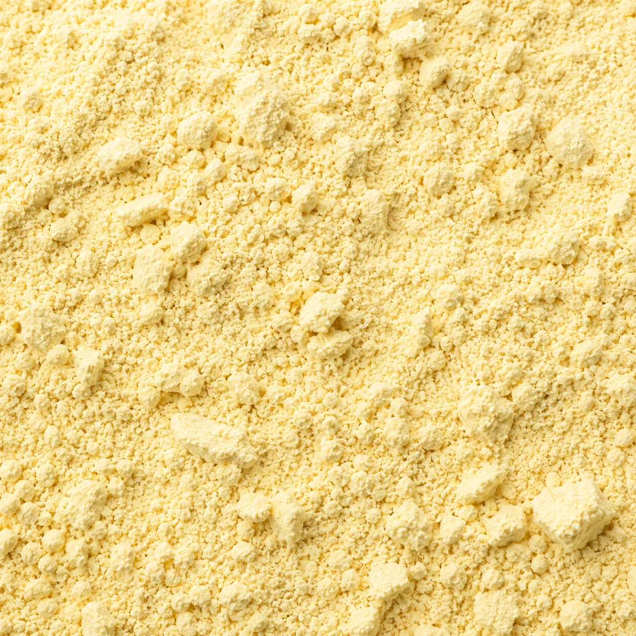 Reference image of Soy Flour / 大豆粉参考图片