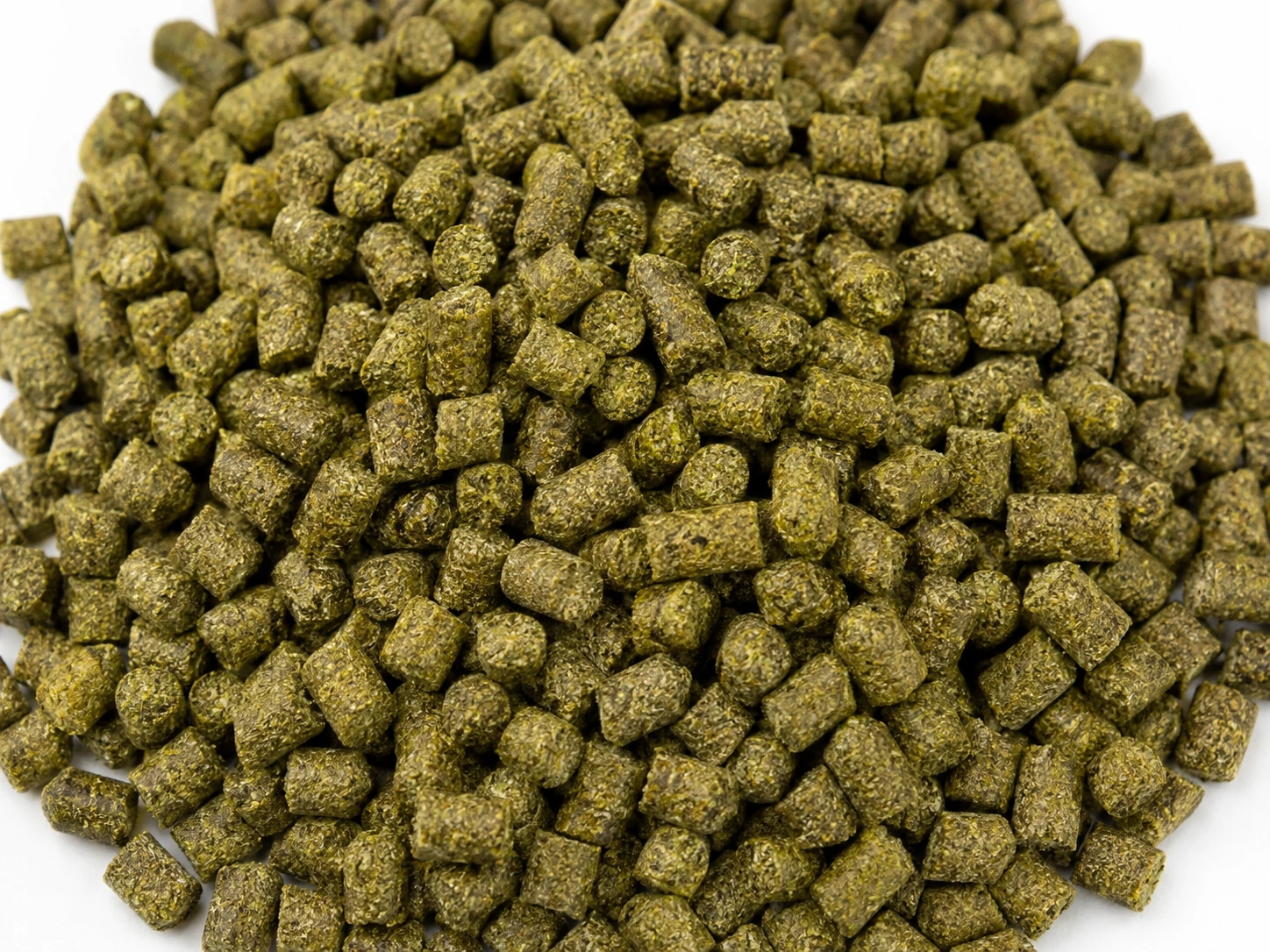 Reference image of Shrimp Feed Pellets / 虾用颗粒饲料参考图片