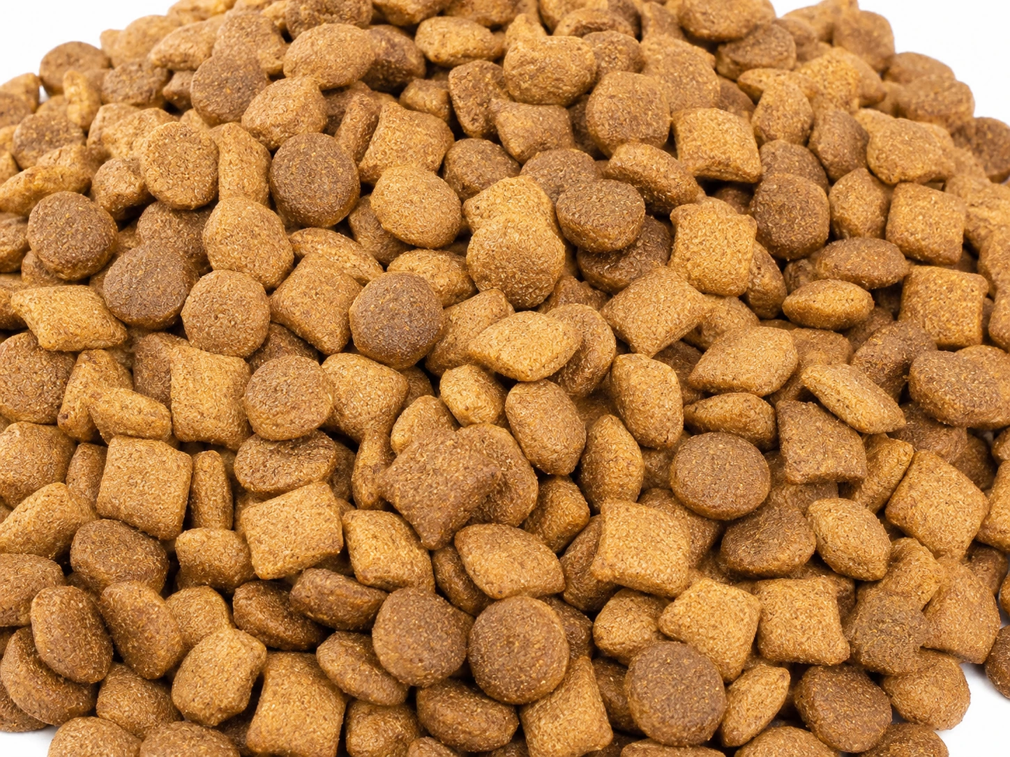 Reference image of Dog Kibble / 犬粮膨化颗粒参考图片