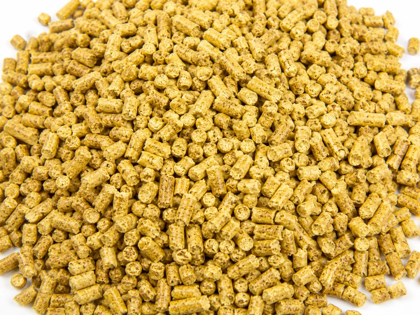 Reference image of Calf Starter Pellets / 犊牛开食颗粒料参考图片
