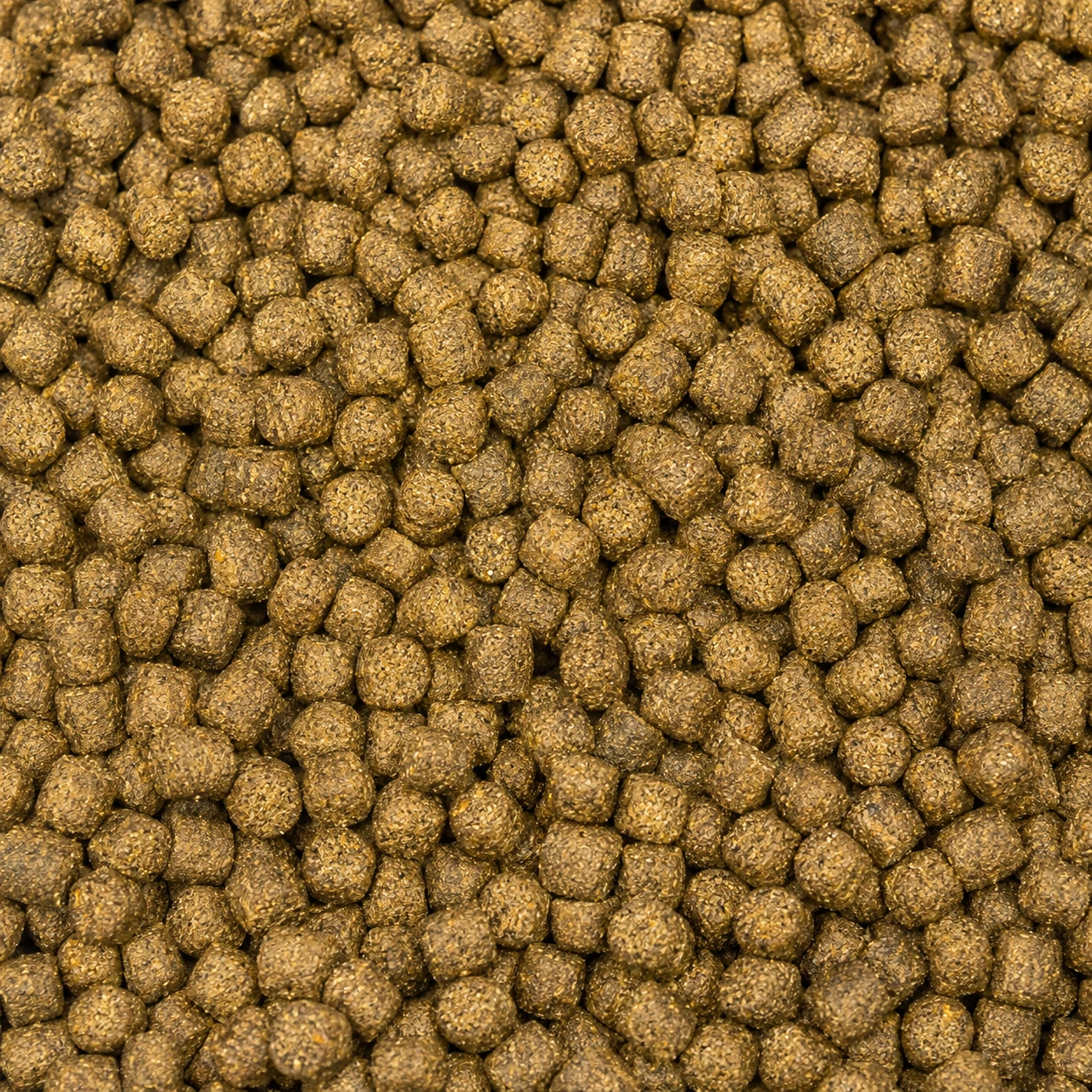 Reference image of Carp Sinking Feed / 鲤鱼沉性饲料参考图片